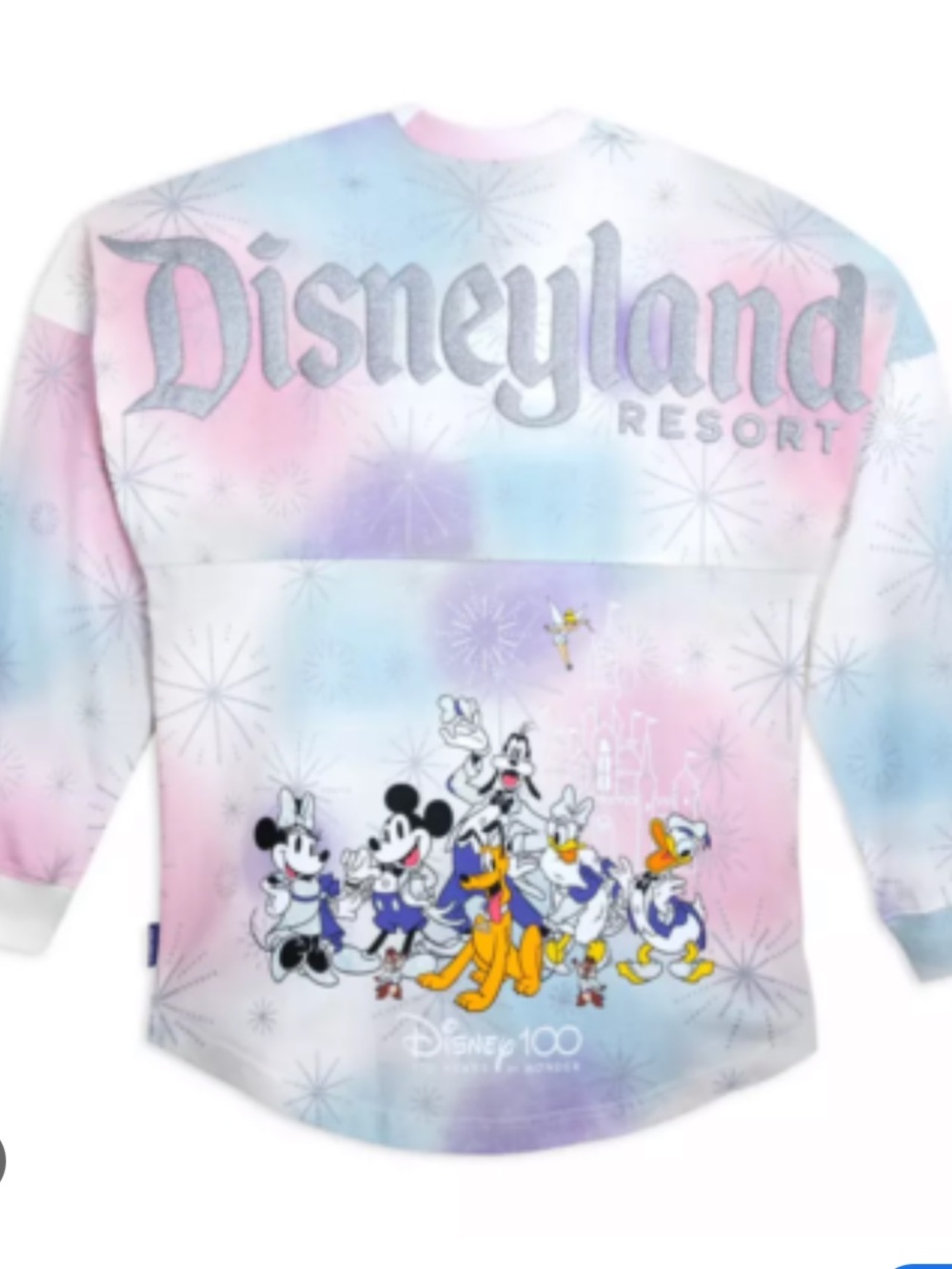 Mickey and Friends Spirit Jersey